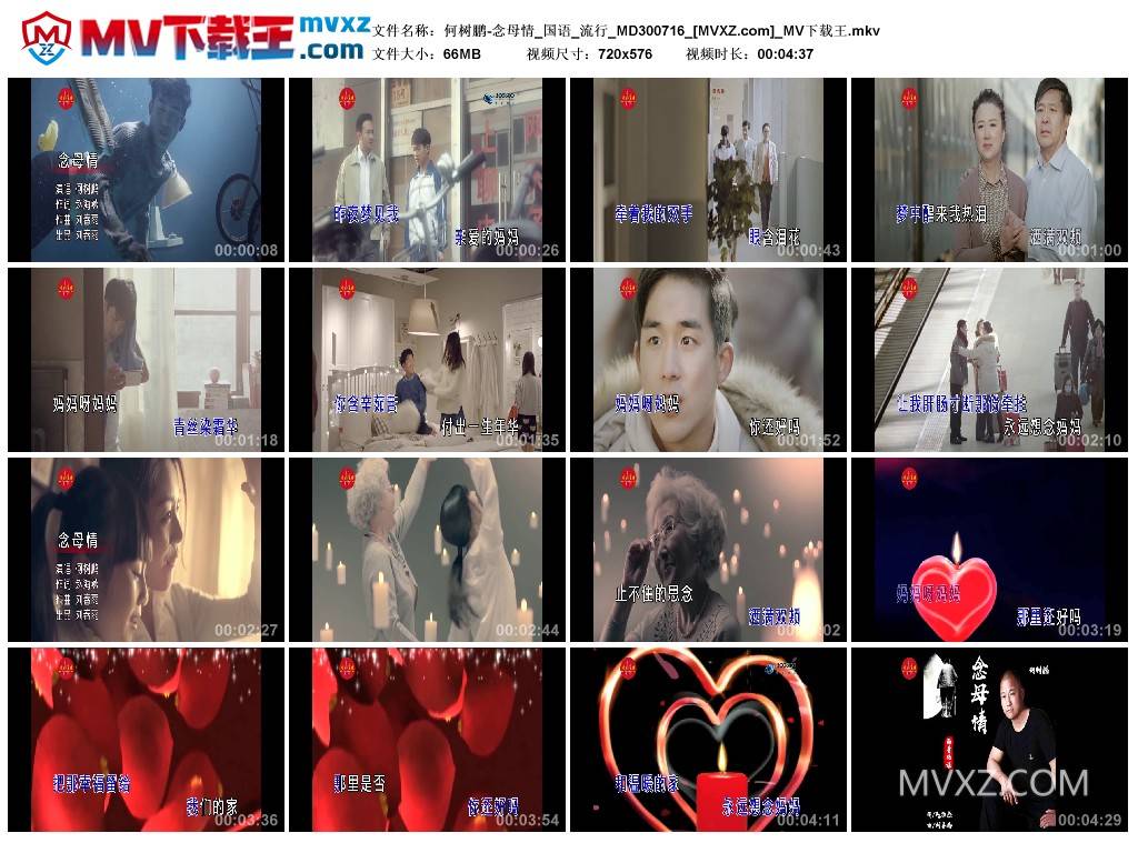 何树鹏-念母情_国语_流行_MD300716